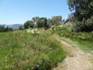 Sentier archéologique d'Eyne